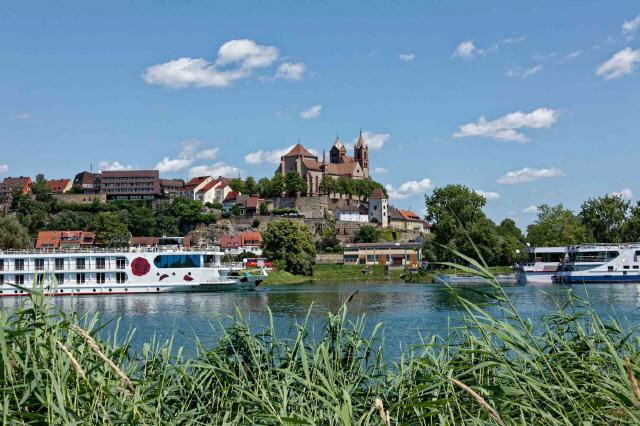 Breisach Rheinpanorama