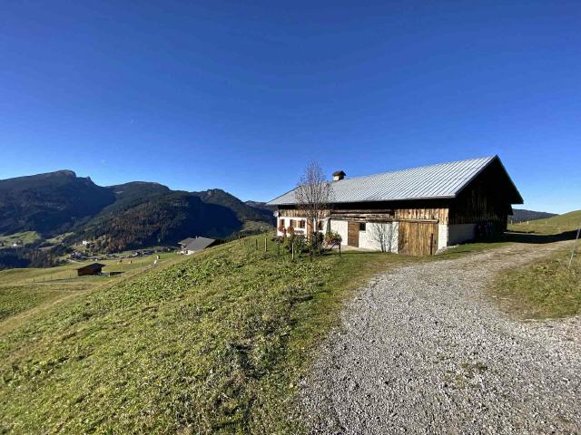 Kleinwalsertal Bergschauweg
