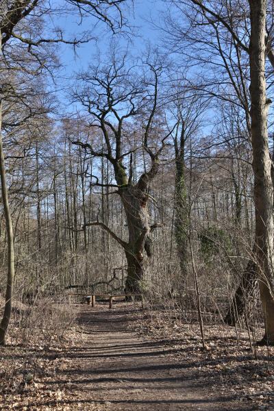 Berlin - Tegel Dicke Marie
