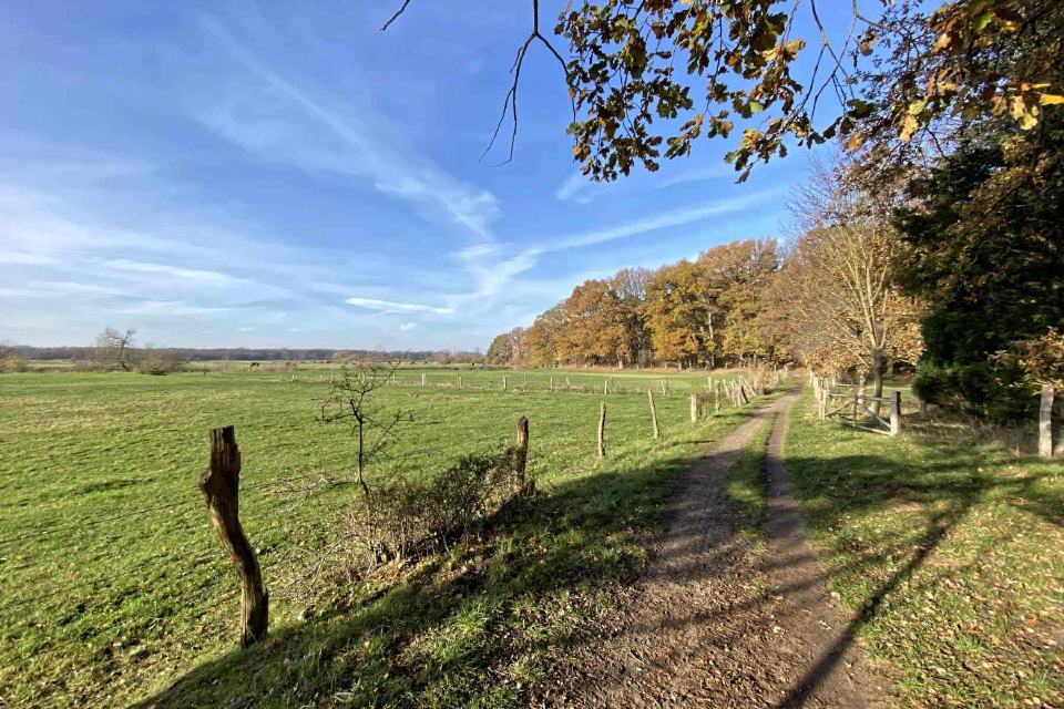 Zw. Neustadt und Bordenau