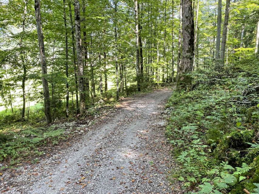 17 Weg zwischen Ettaler M&uuml;hle und Ettal